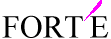 forteinc.com