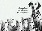 dalmation.jpg