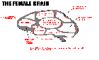 female-b.gif
